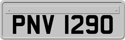 PNV1290
