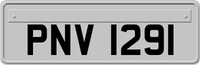 PNV1291