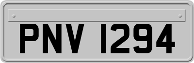 PNV1294