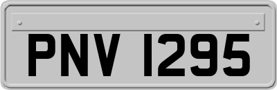 PNV1295