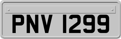 PNV1299