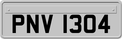 PNV1304