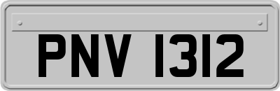PNV1312