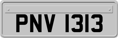 PNV1313