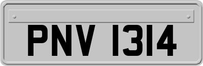 PNV1314