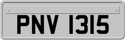 PNV1315