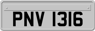 PNV1316