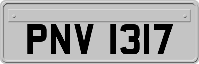 PNV1317