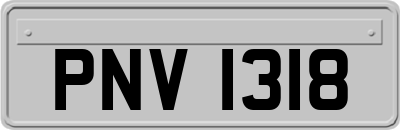 PNV1318