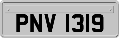 PNV1319
