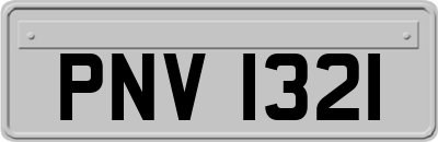 PNV1321