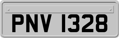 PNV1328