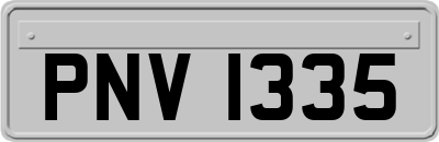 PNV1335
