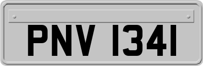 PNV1341