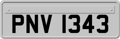 PNV1343
