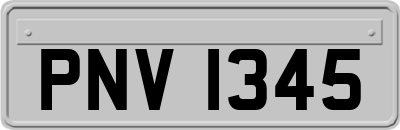 PNV1345