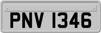PNV1346
