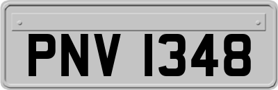 PNV1348