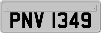 PNV1349