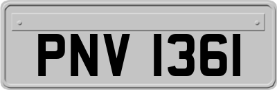 PNV1361