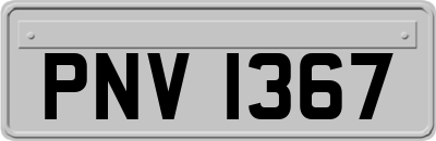 PNV1367