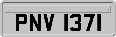PNV1371