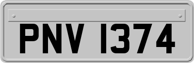 PNV1374