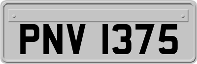 PNV1375