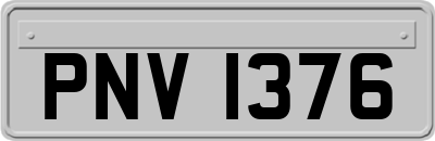 PNV1376