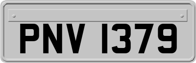 PNV1379