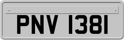 PNV1381