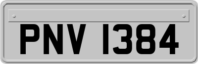 PNV1384