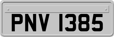 PNV1385
