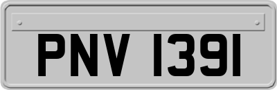 PNV1391