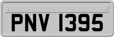 PNV1395
