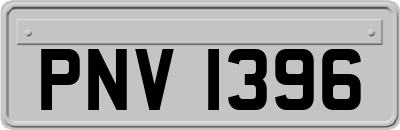 PNV1396
