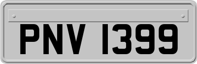PNV1399