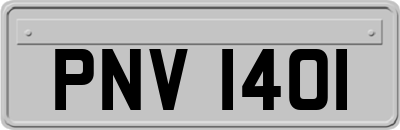 PNV1401