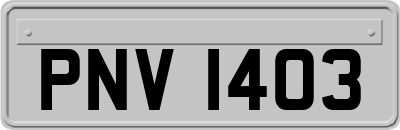 PNV1403