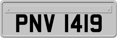 PNV1419