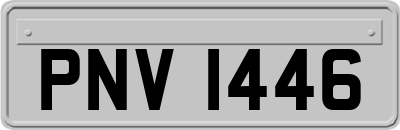 PNV1446