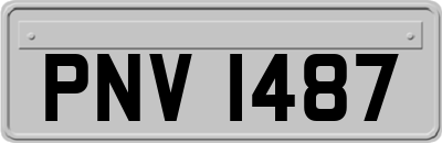 PNV1487
