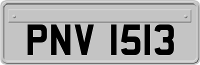 PNV1513