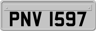 PNV1597