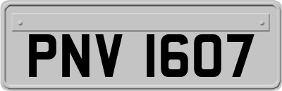 PNV1607