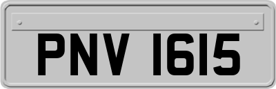 PNV1615