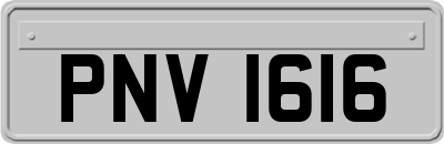 PNV1616