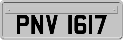 PNV1617