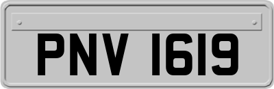 PNV1619