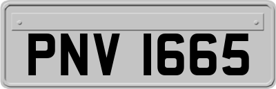 PNV1665